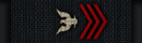 Petty Officer First Class